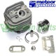 CILINDRO CON PISTON METEOR PARA STIHL MS260 STIHL 11006838M