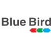 BLUE BIRD