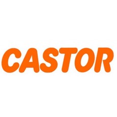 CASTOR